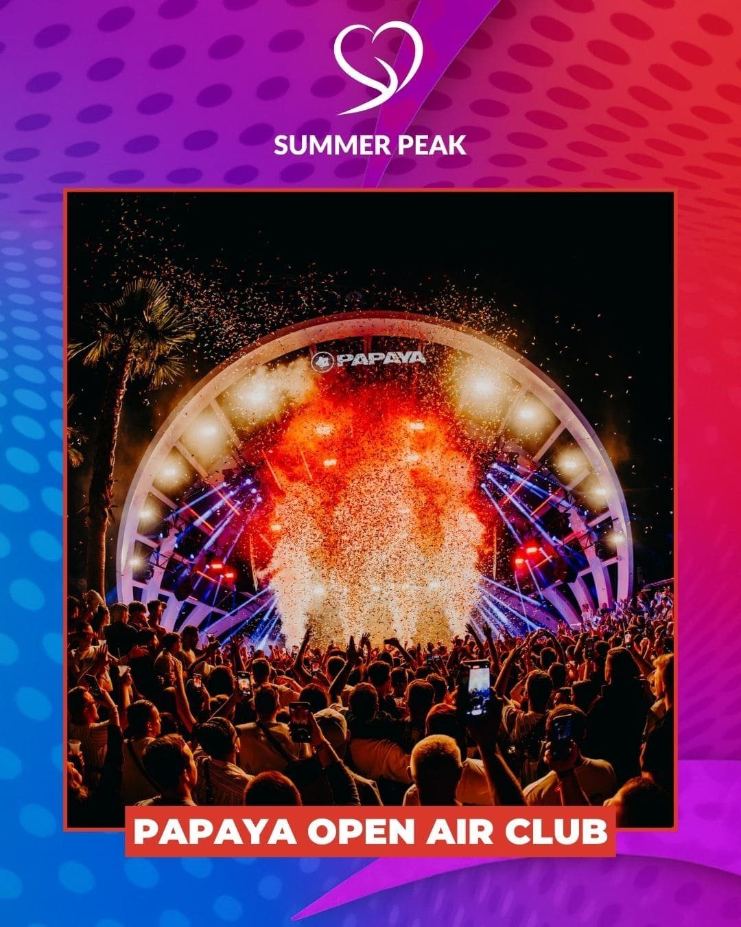 PAPAYA CLUB