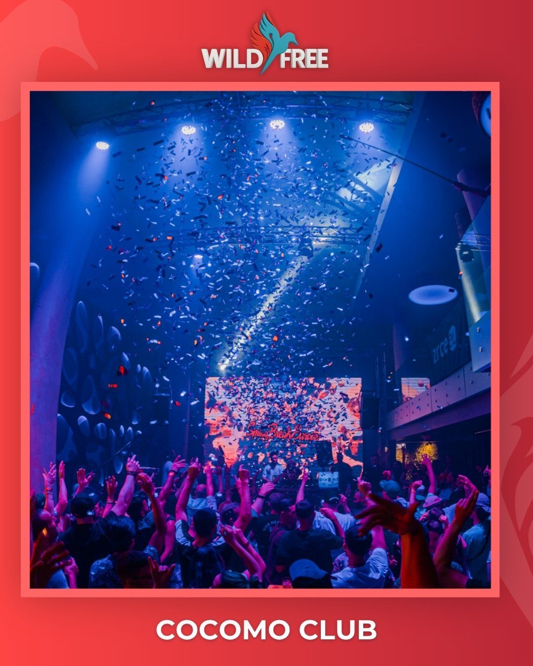 COCOMO CLUB