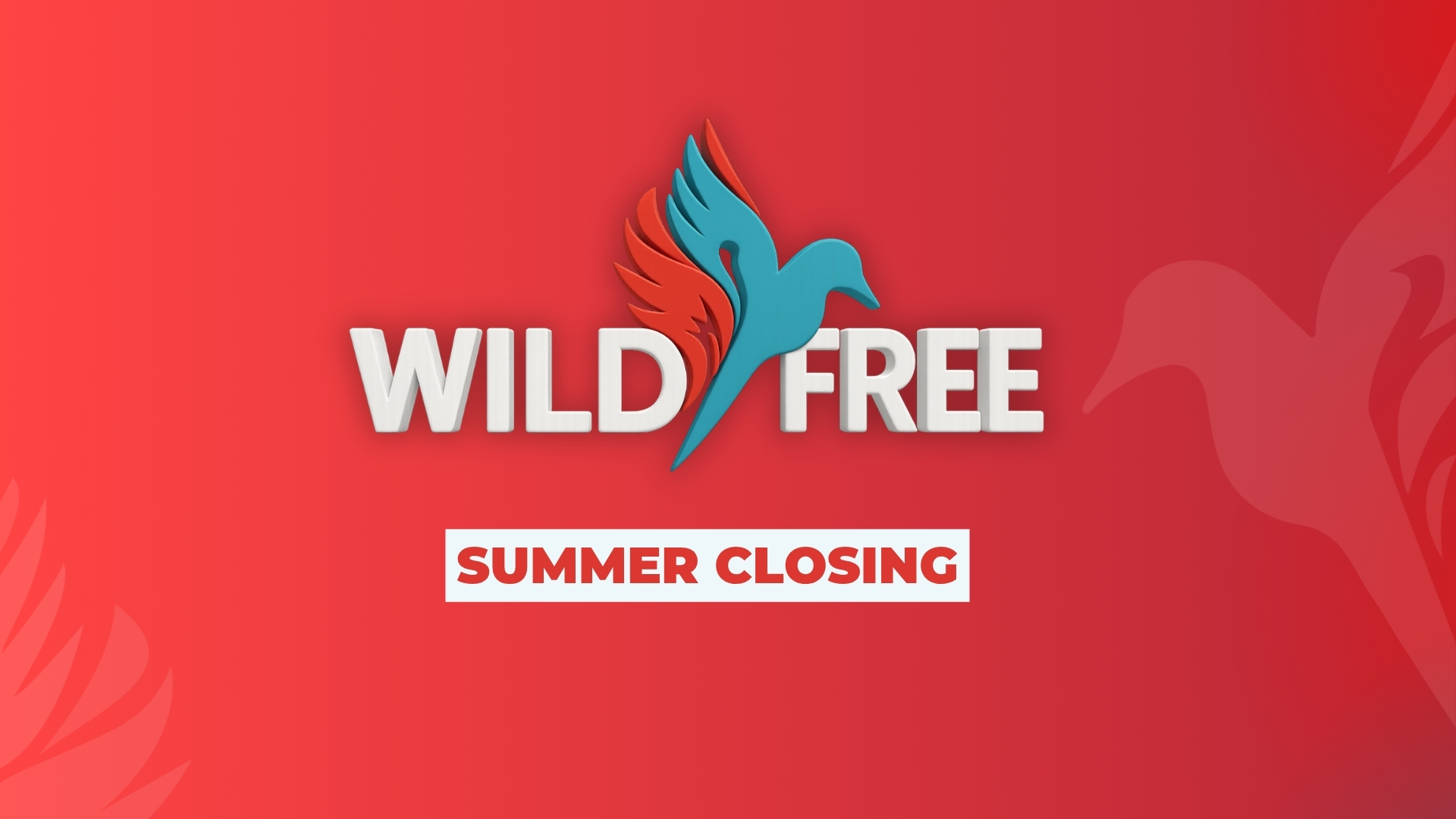 Wild & Free Summer Edition